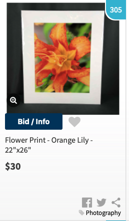 Screen Shot 2020-05-12 at 12.17.03 PM