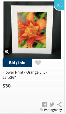 Screen Shot 2020-05-12 at 12.17.03 PM