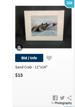 sand crab, Pine Knolls, NC beach